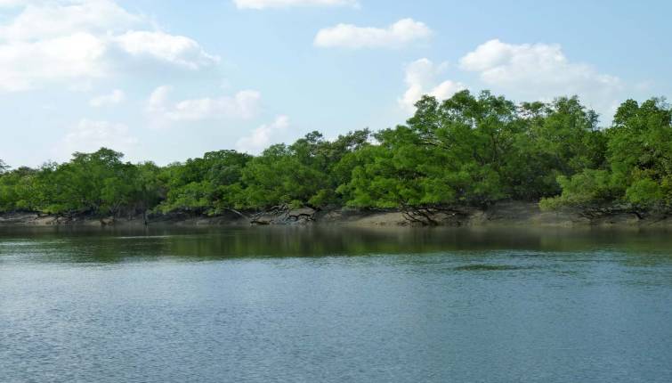 Sunderban National Park West Bengal