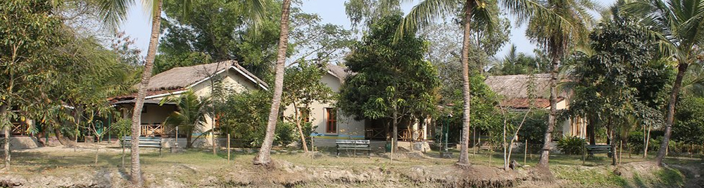 hotels-in-sunderban