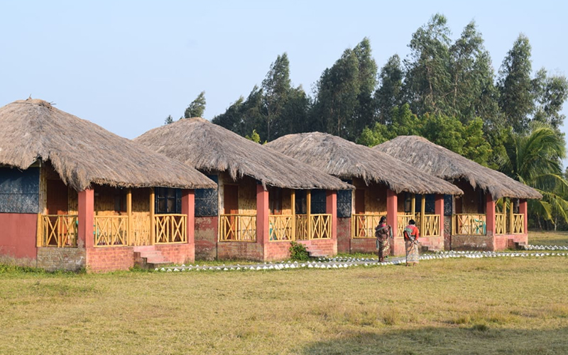 sundarban tiger safari resort