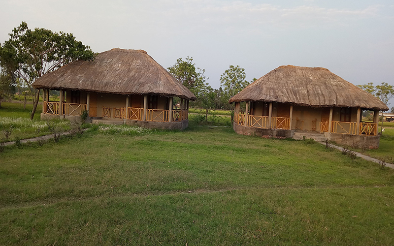 sundarban tiger safari resort