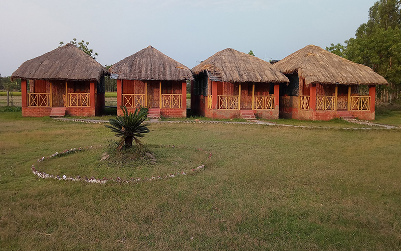 sundarban tiger safari resort