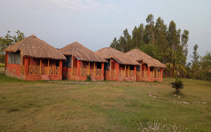 sundarban tiger safari resort